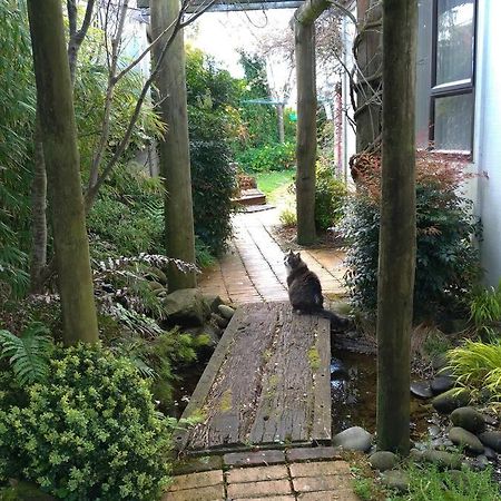 Secret Cottage Waitara Exterior photo