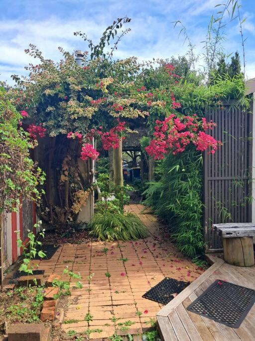 Secret Cottage Waitara Exterior photo