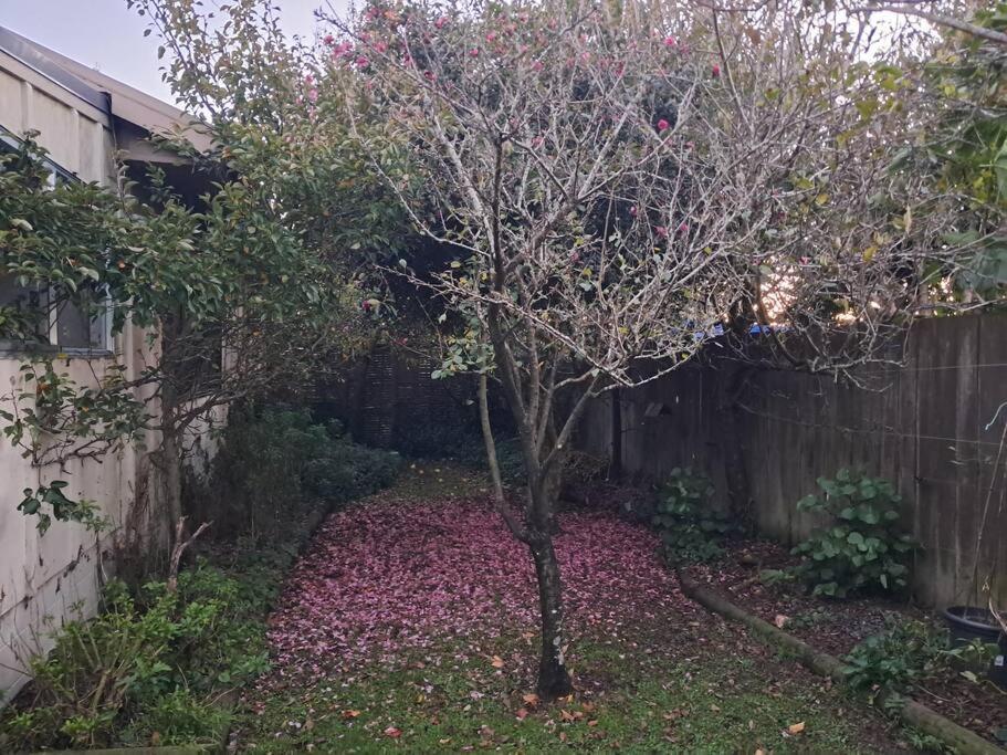 Secret Cottage Waitara Exterior photo