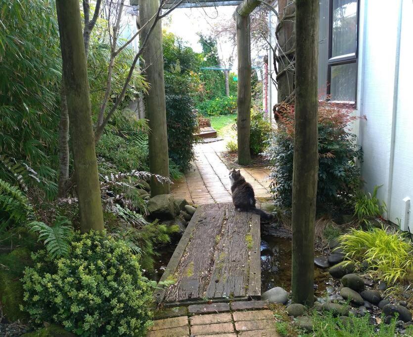 Secret Cottage Waitara Exterior photo