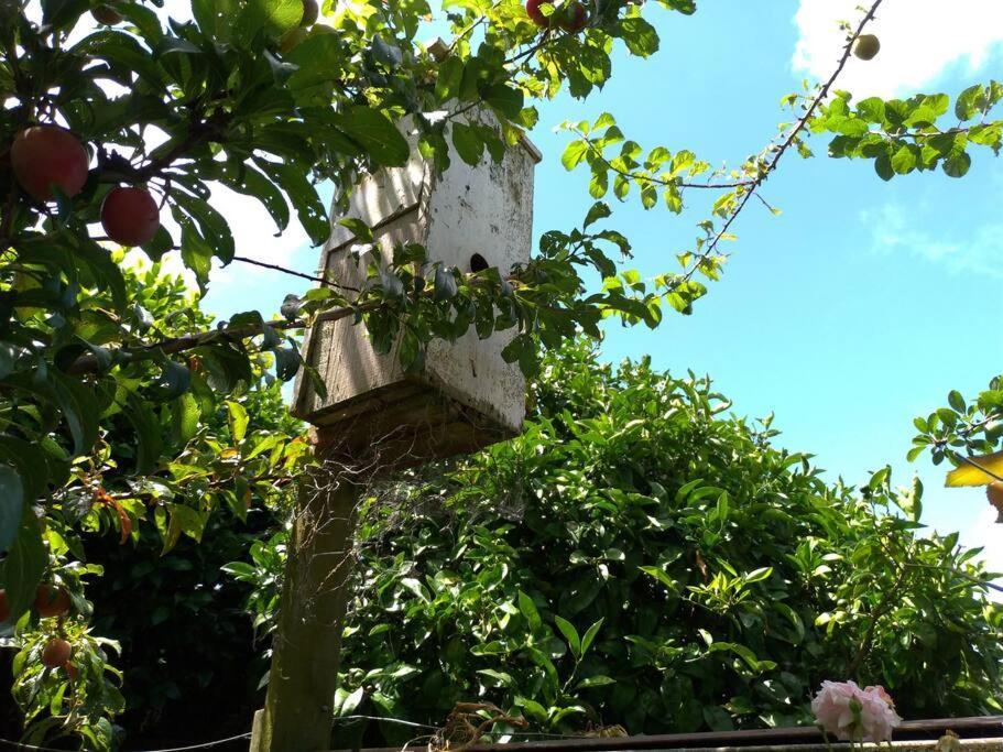 Secret Cottage Waitara Exterior photo