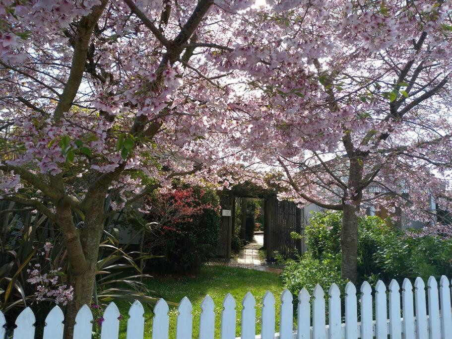 Secret Cottage Waitara Exterior photo