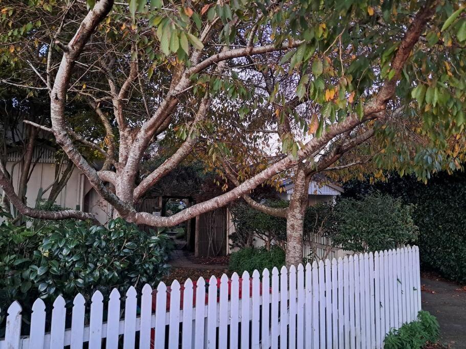 Secret Cottage Waitara Exterior photo
